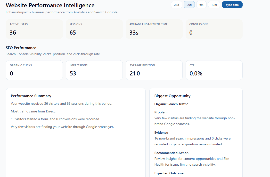 Website Performance Intelligence page with analytics and search performance metrics.